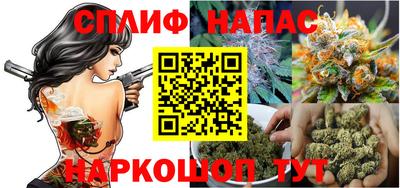 индика Гусиноозёрск