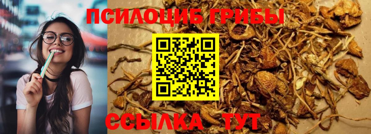Галлюциногенные грибы ЛСД  Вход с VPN  где найти   Междуреченск  Псилоцибиновые грибы GOLDEN TEACHER 